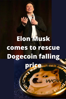 Elon Musk comes to rescue Dogecoin falling price