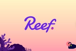 All you need to know about Reef Cryptocurrency