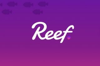 Is Reef cryptocurrency a good investment?