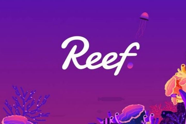 All you need to know about Reef Cryptocurrency
