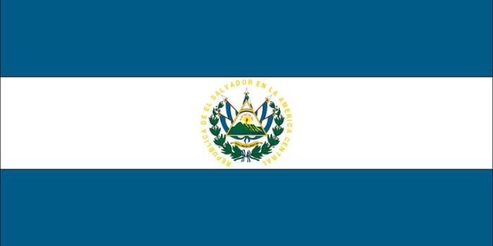 El Salvador adopts bitcoin as legal tender, causing its price to plummet by roughly 10%